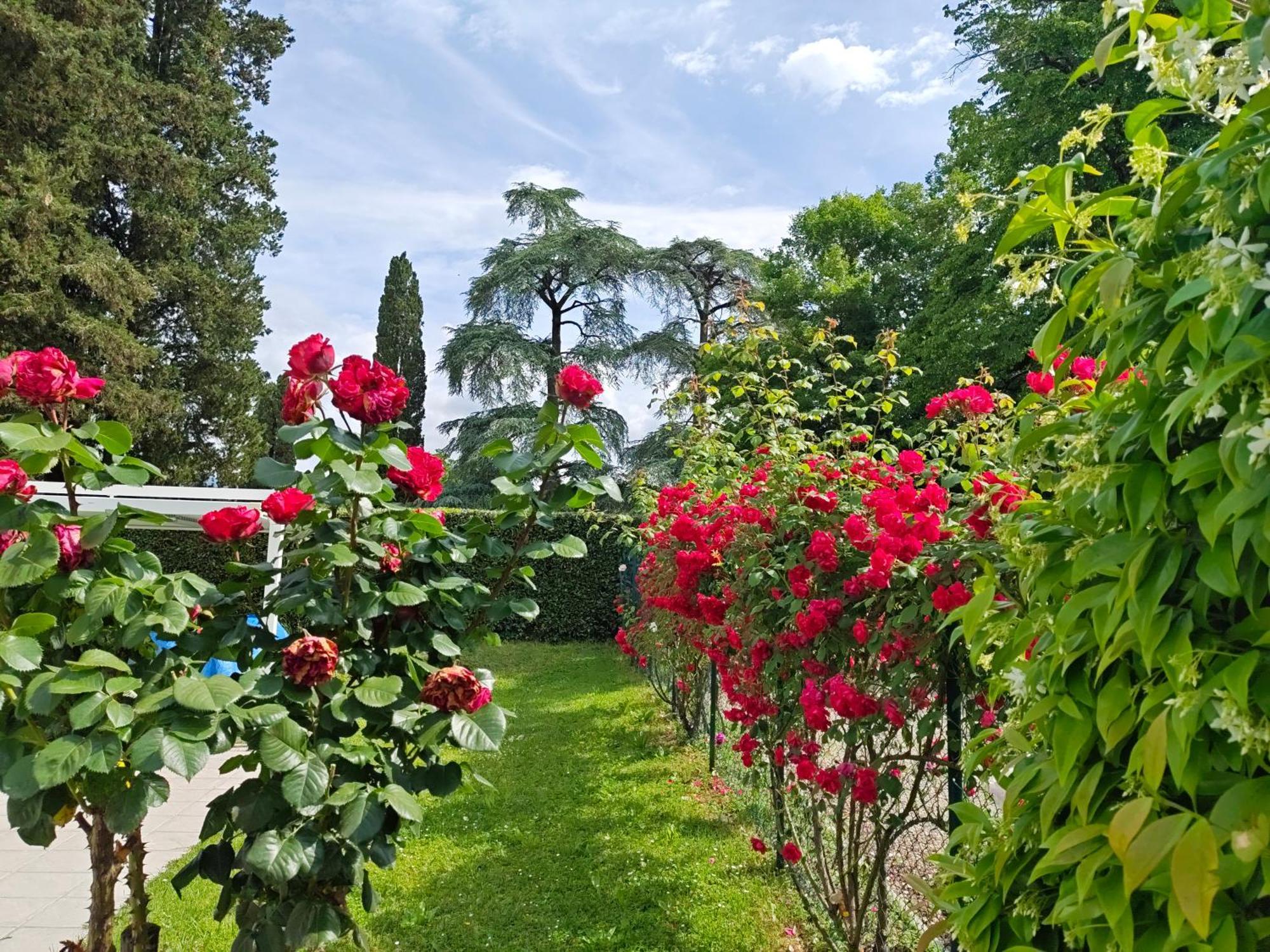 Villa Torricelli Scarperia - Il Giardinetto Residence ภายนอก รูปภาพ